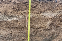 Footer-Check
